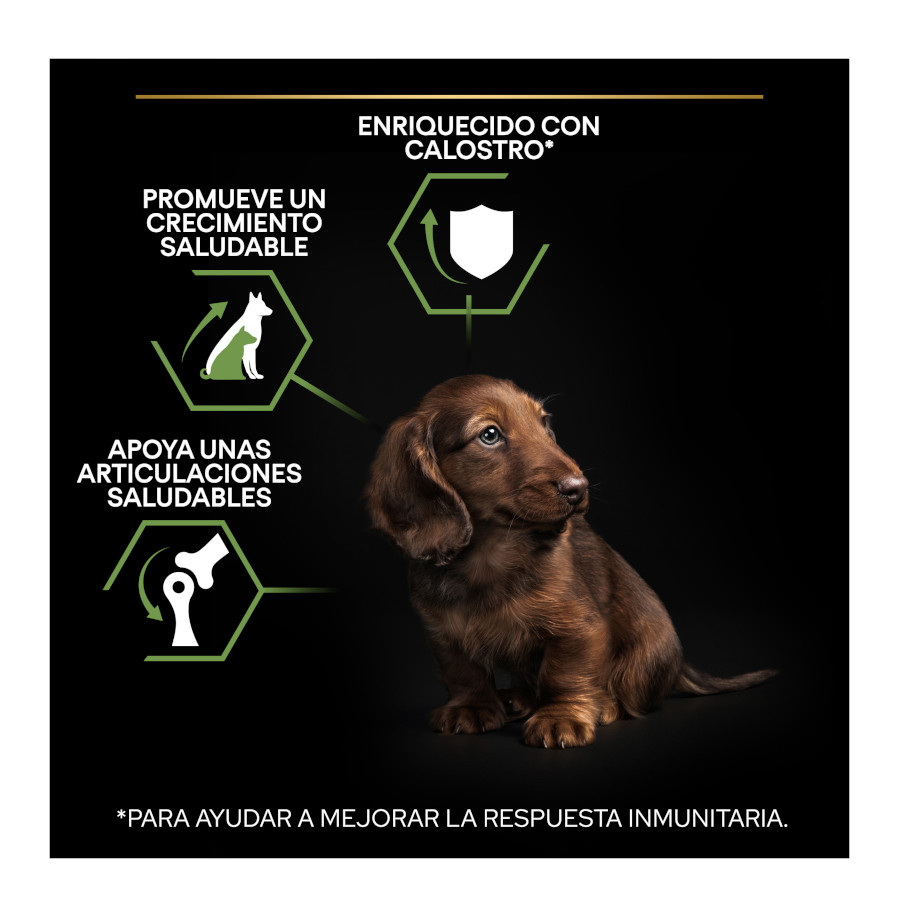 Ração Pro Plan Puppy para Cães de Pequeno e Miniatura com Frango