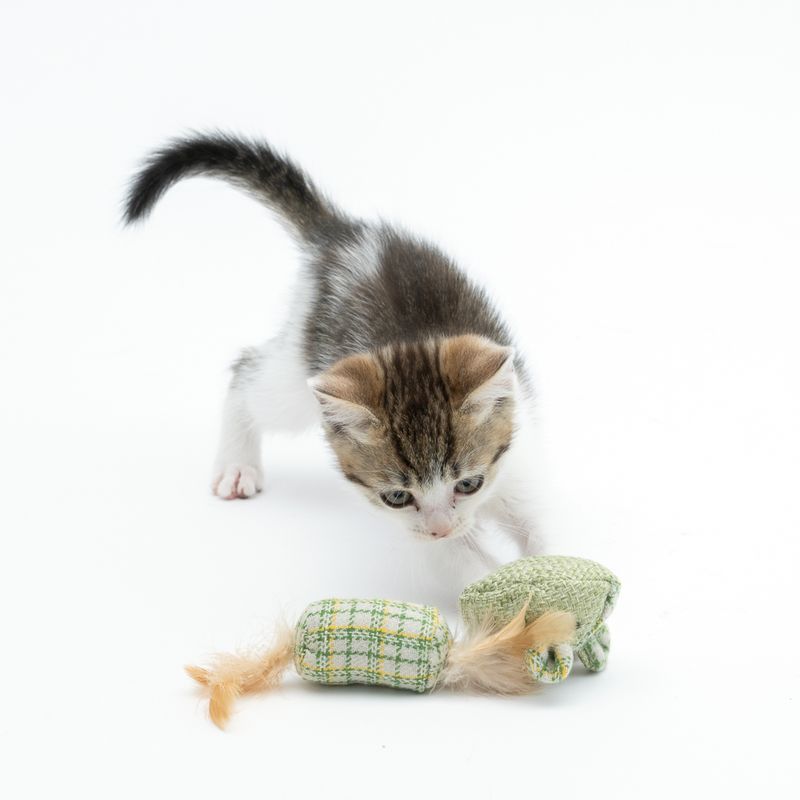 Lot de jouets Modern Living Glasgow Bonbon & Souris avec menthe à chat