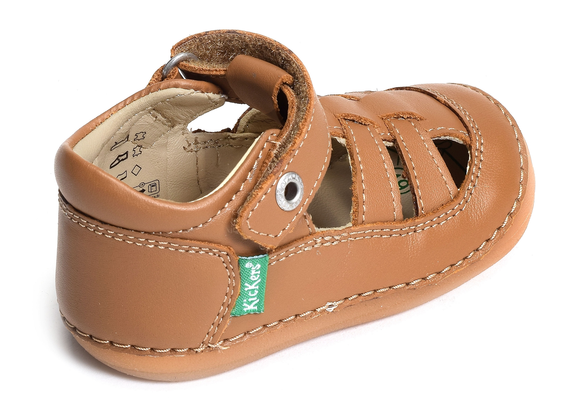 Sushy boy camel