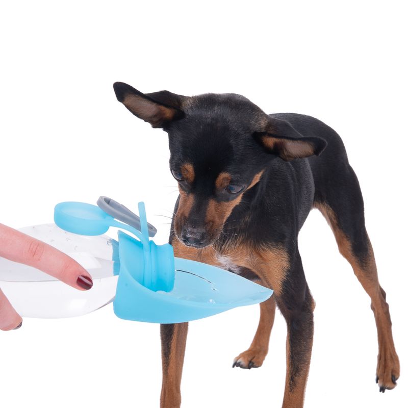 Gourde de voyage Smartpet