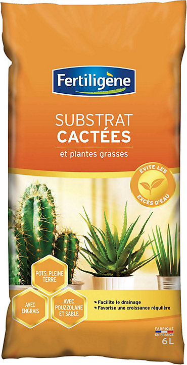 Terreau cactée Fertiligène 6L