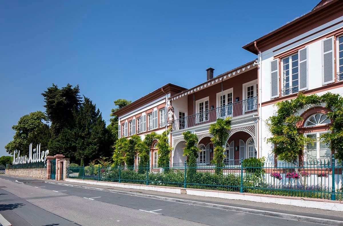 Wein-und Schaumweinseminar in der Villa Mumm Eltville