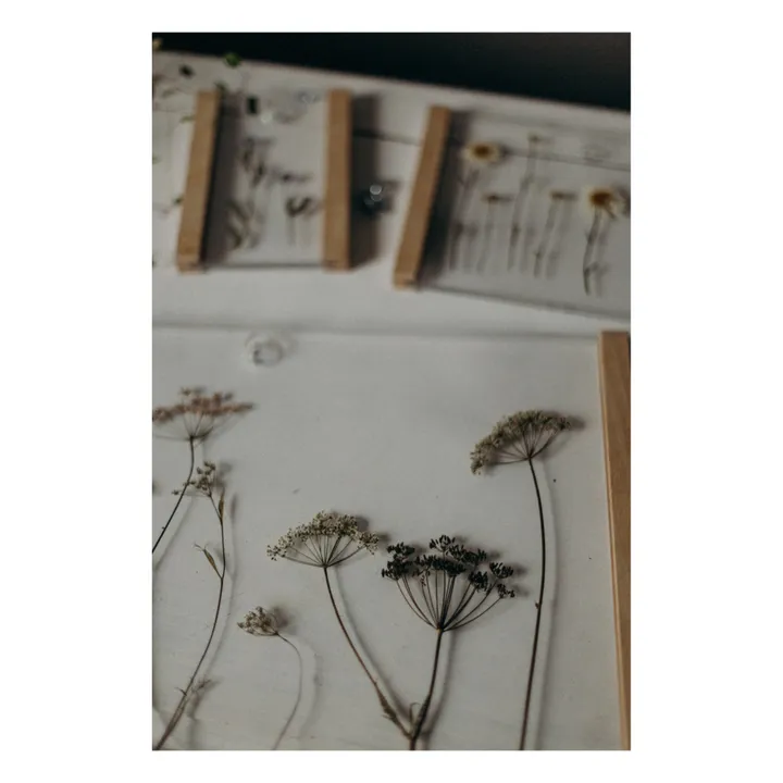 Nature King Cadre pour herbier