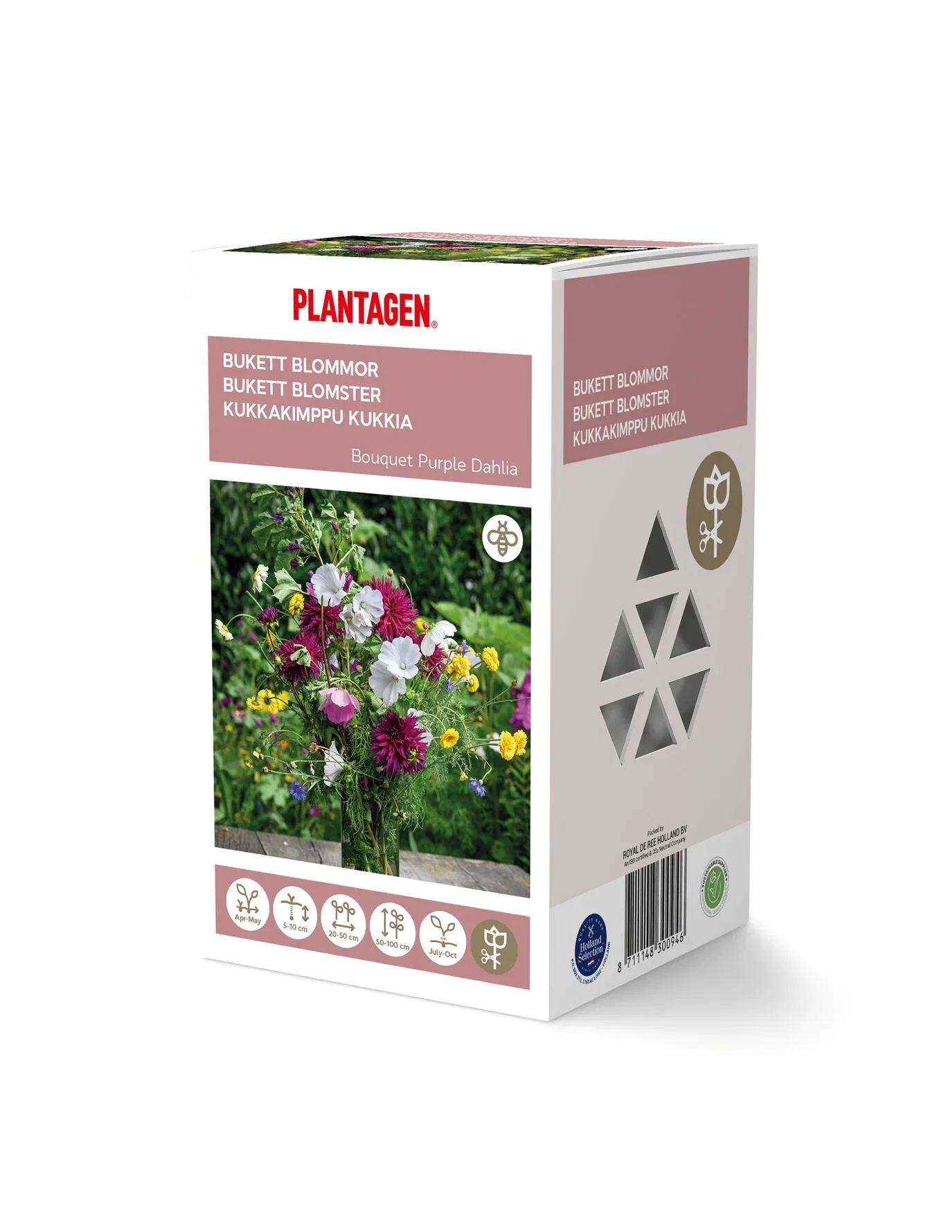 Plantagen Bukettmiks georgine lilla