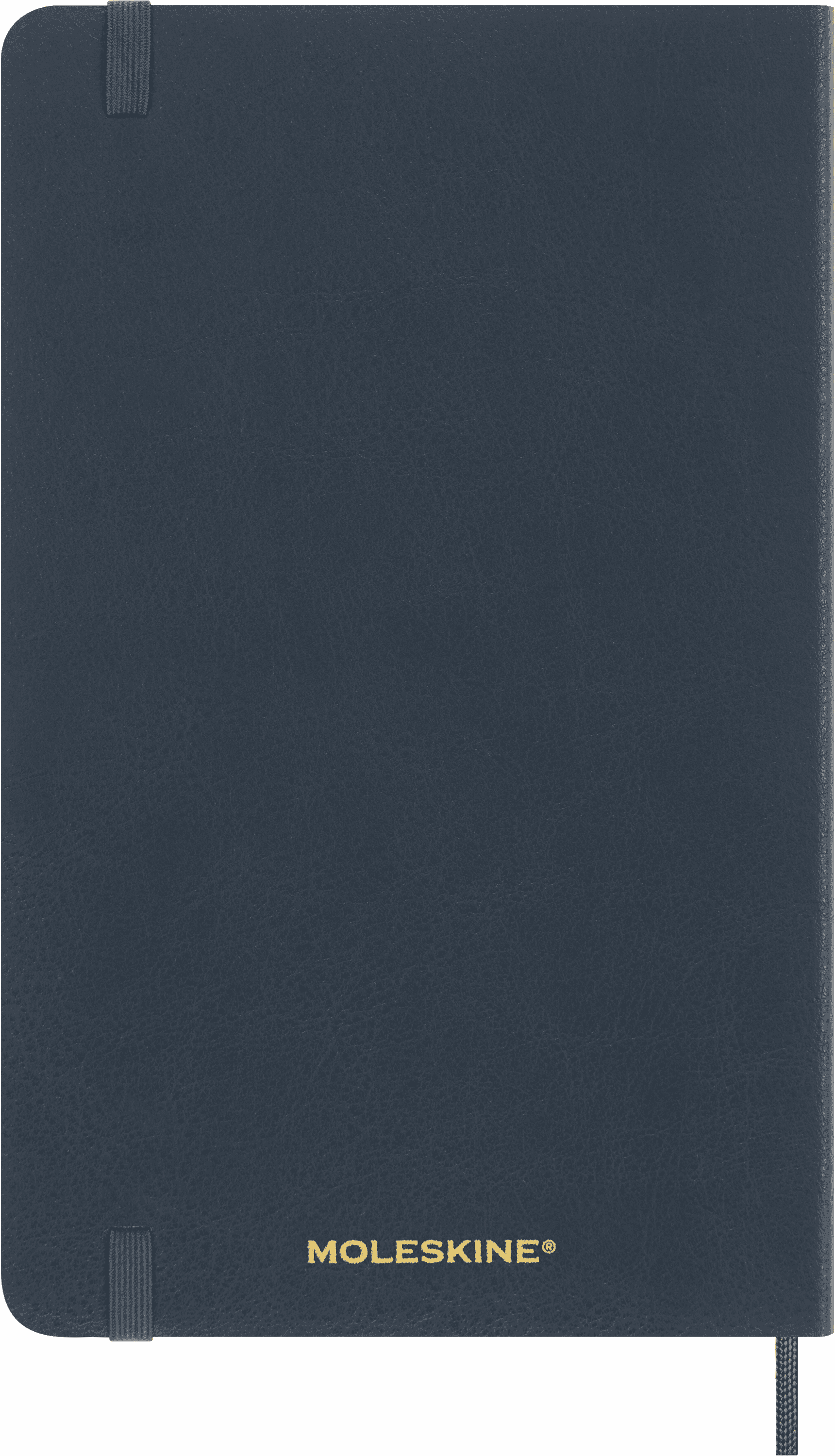 Precious & Ethical Notebook Vegan Soft Cover, Ruled