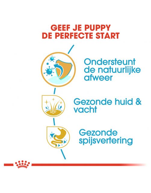 Royal Canin Shih Tzu - Puppy-Hondenvoer - 1.5 kg
