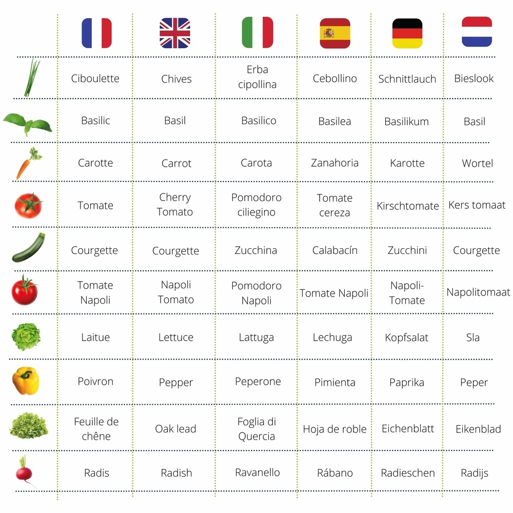 Cultivea le kit petit potager - kit de 10 graines de semis essentiels - herbes aromatiques, tomates, légumes, salades