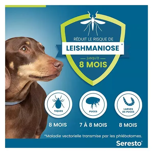 Coleira antipulgas e carrapatos Seresto para cães de pequeno porte - 8 kg (1 unidade)