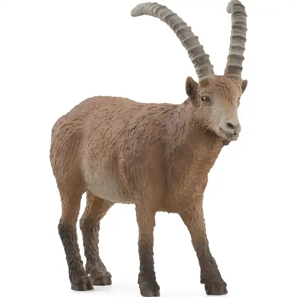 14873 Steinbock