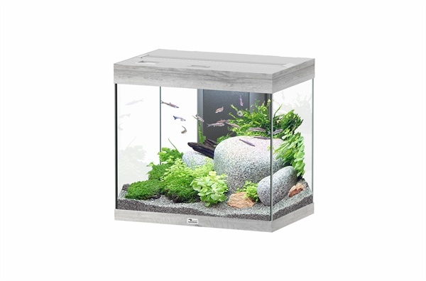 Aquatlantis Splendid 60 aquarium | Inclusief LED en filter