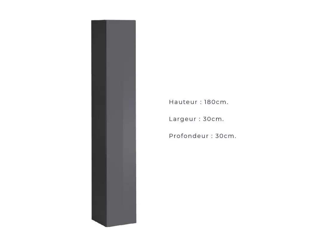 Colonne suspendue – Gris – Collection SWITCH – 1 porte – 30x180 cm – Design moderne