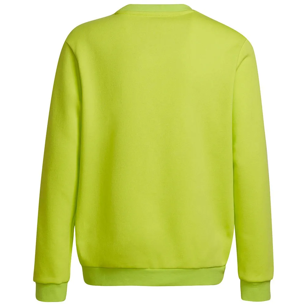 Moletom adidas Entrada 22 Stadium SW