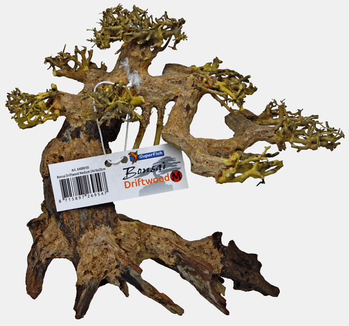 Superfish Bonsai Driftwood M | Handgemaakte miniatuurbomen