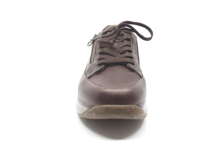 Joya BRUNO BROWN Bruin (234cas)