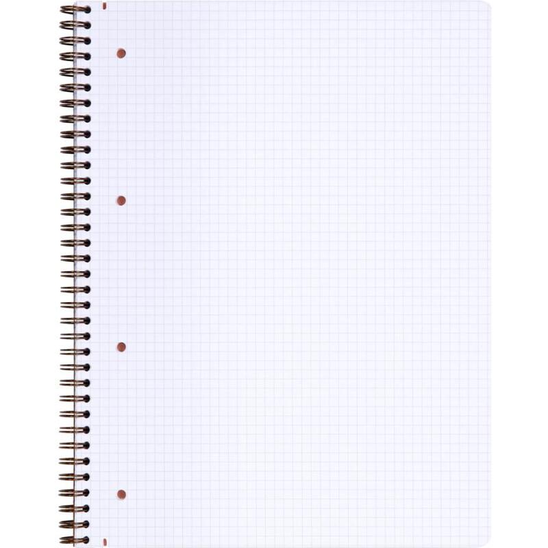 Carnet reliure intégrale Age Bag A4+ 160 pages détachables perforé 4 trous petits carreaux - Tabac
