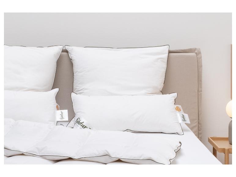 3-kamer donzen hoofdkussen