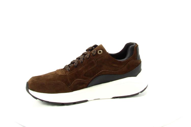 Xsensible 33200 Golden Gate 4.301 Brown