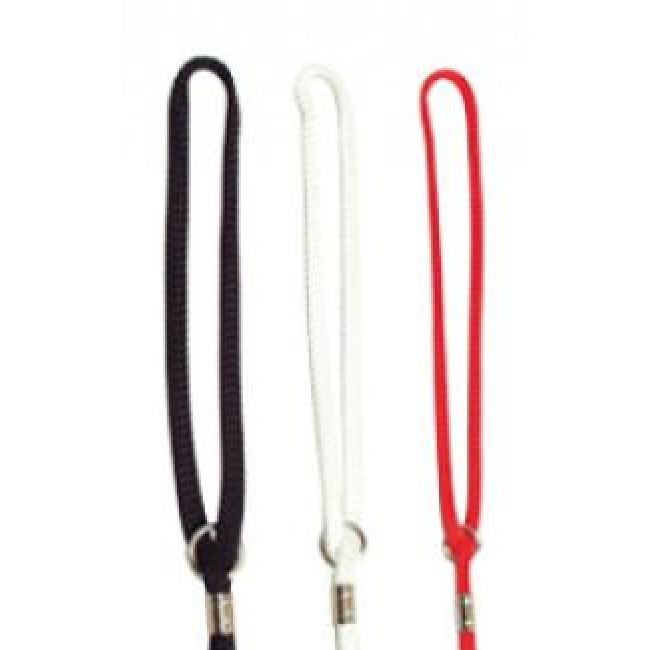 Laisse collier de présentation pour chien