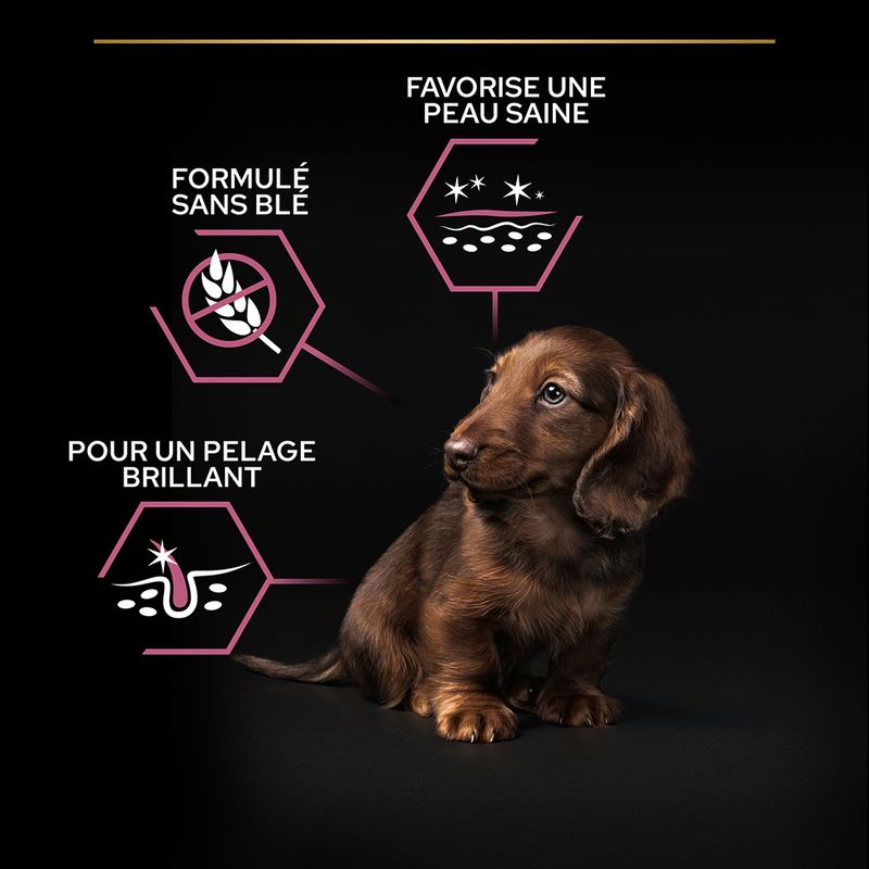 PURINA PRO PLAN Small & Mini Puppy Sensitive Skin