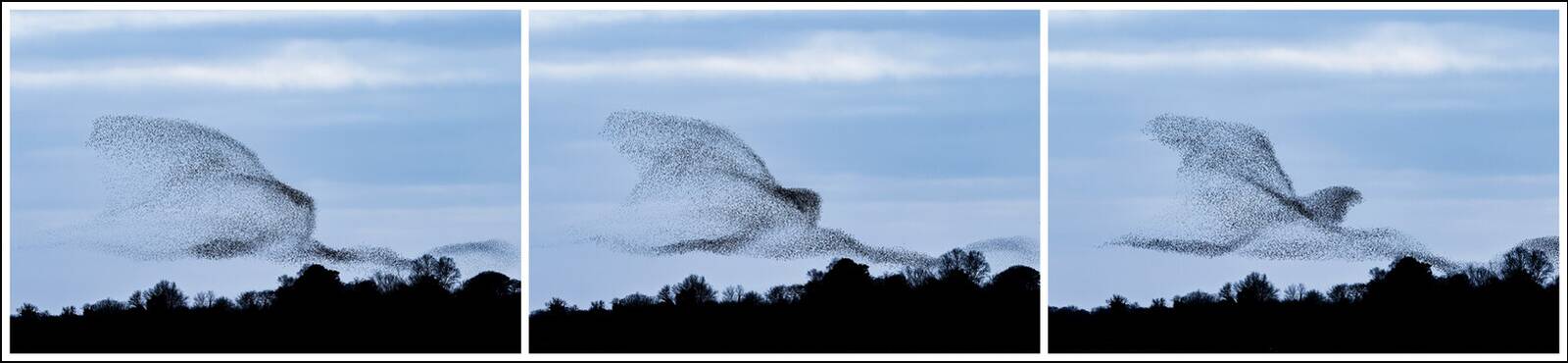 Evolution of Harmony, Lough Ennell, Ireland by James Crombie - Limited Edition. Edition of: 150. Signed.