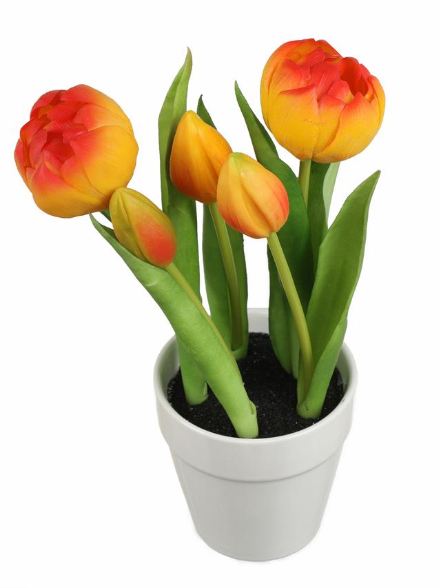 5 Tulpen im Keramiktopf, 2er Set