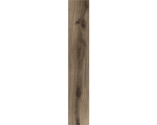 Porseleinen steengoed wand- en vloertegel Oliver Braun 20 x 119,5 x 1 cm mat gerectificeerd