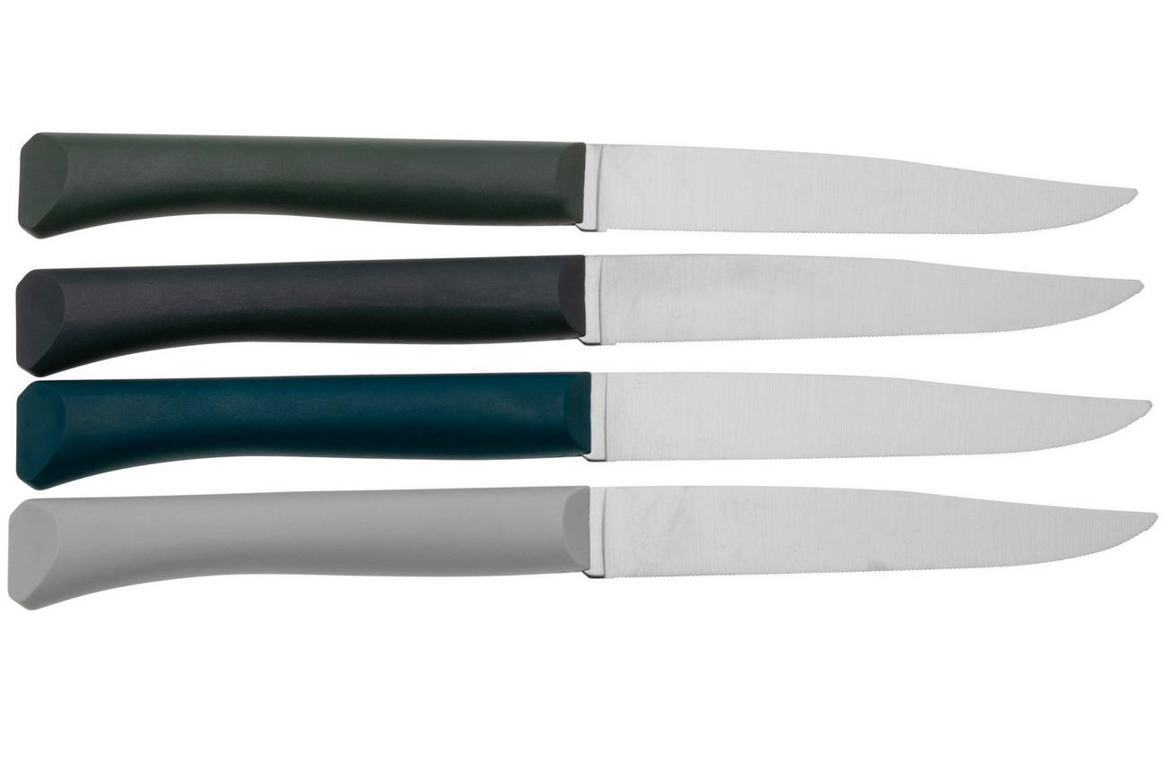 Opinel Bon Appetit  2349, tafelmessen set van 4, storm, micro-gekarteld lemmet