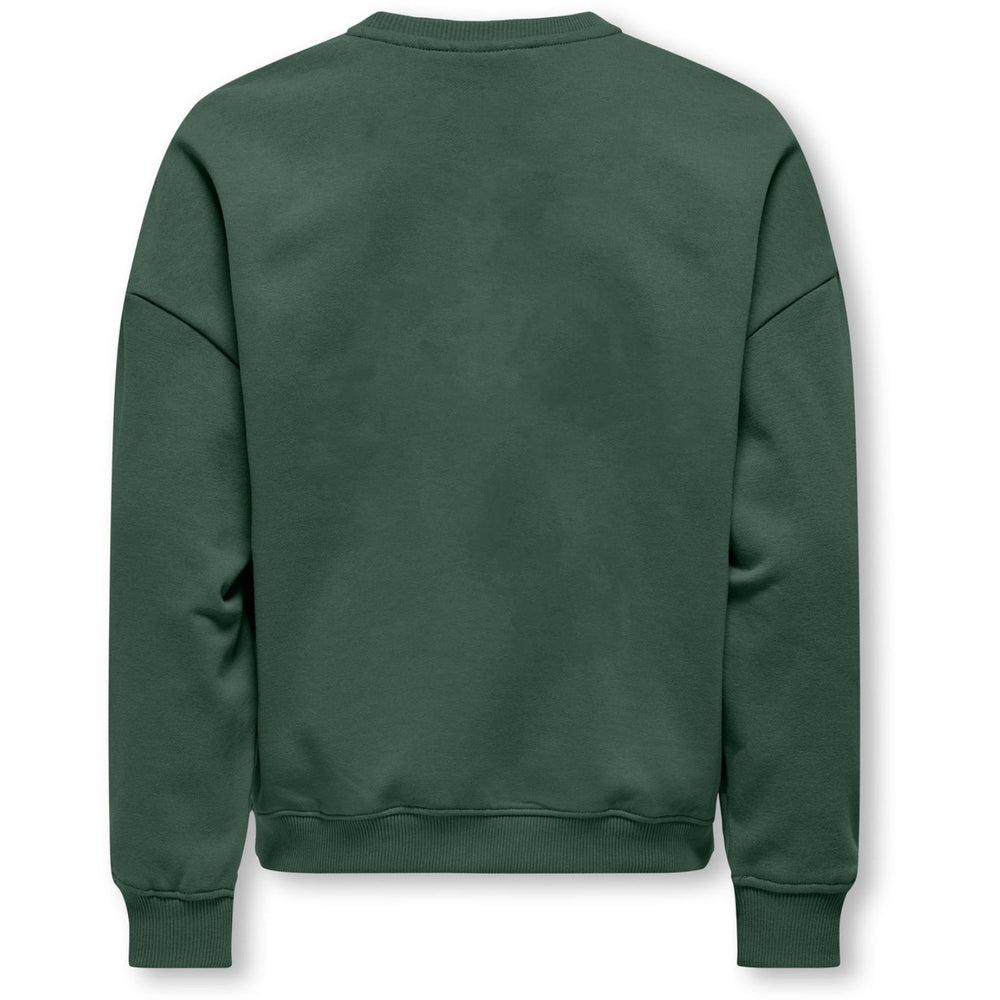 Køb kids ONLY Pineneedle Collage Kogbila L/S Ovz Bjørn O-Neck Swt Noos