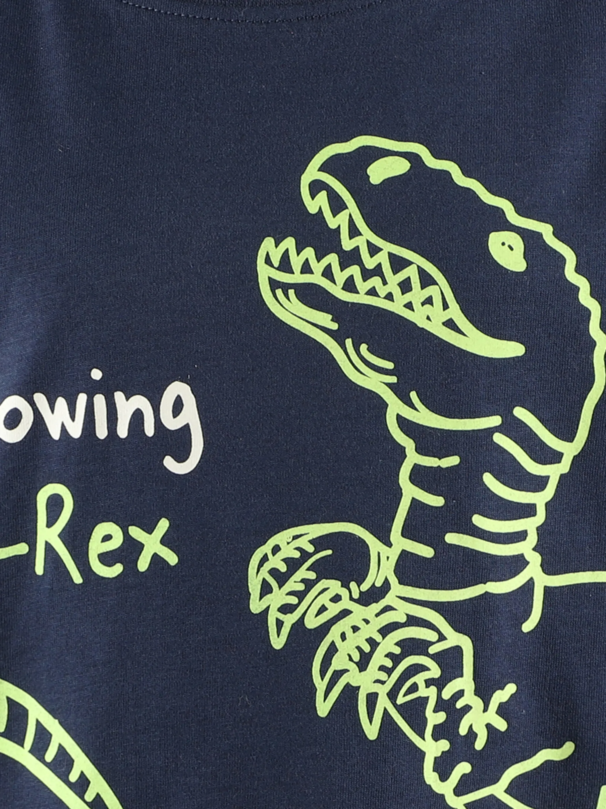 Jungen Shirt mit Dino-Leuchtmotiv