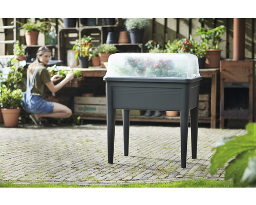 elho Green Basics Campana plantenpot, kunststof, Ø 29 cm, H 23 cm, zwart