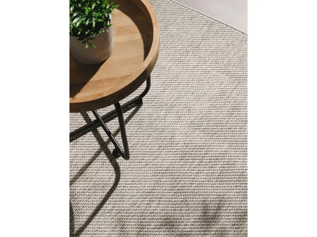Tapis d'extérieur & intérieur Iowa Gris clair 120x170 cm