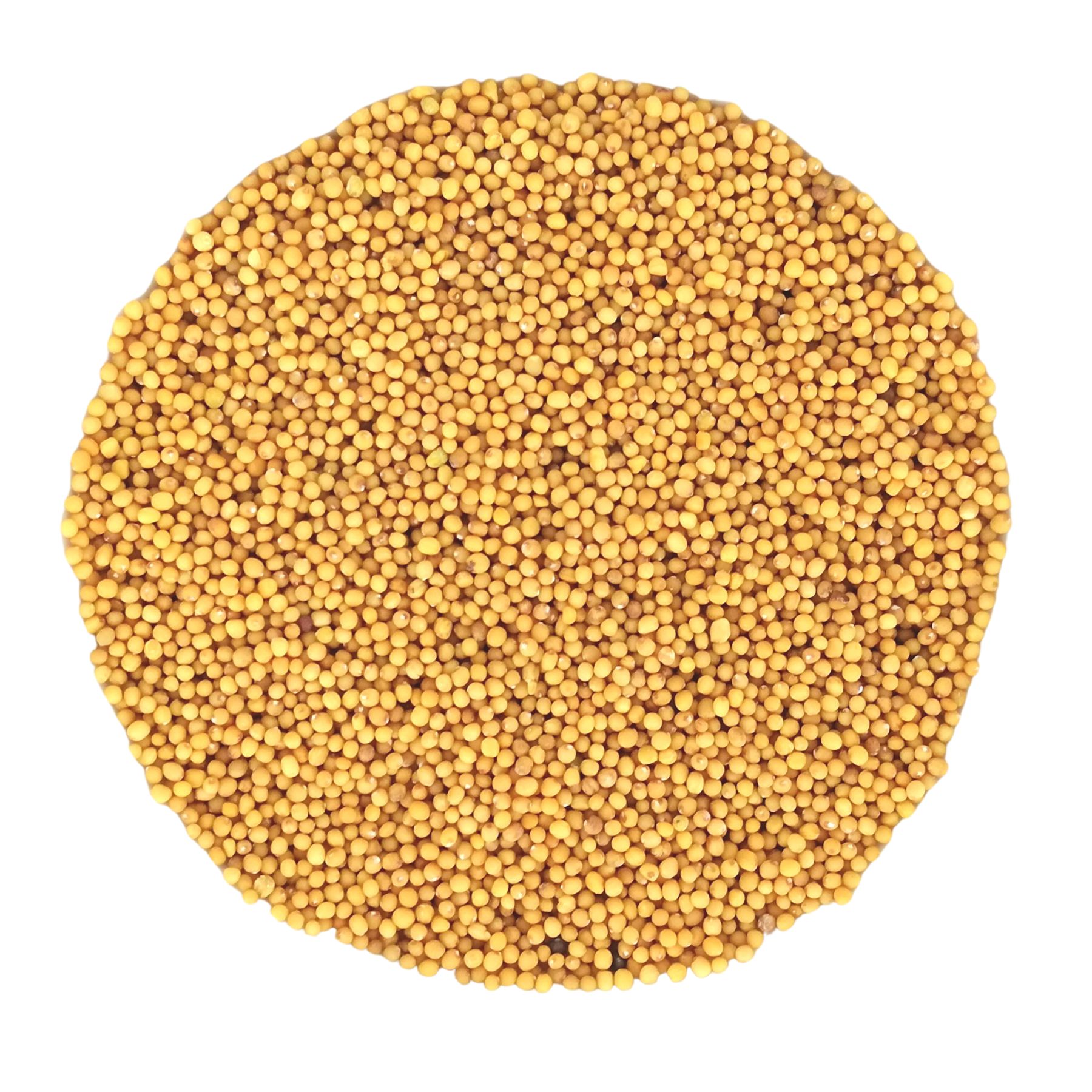 PEPPERMINTMAN Brauner Senf, Bio