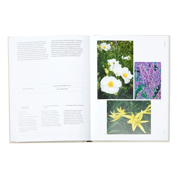 Phaidon Jardiner au rythme des saisons : Conseils pour associer les plantes - FR
