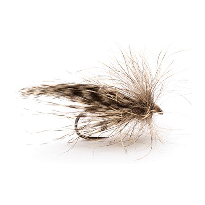 Mouche Devaux Sedge Tricoptheres Jbp15