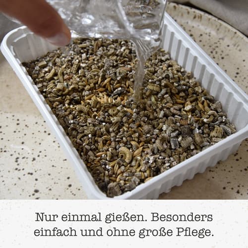 GimCat Hydro-Gras