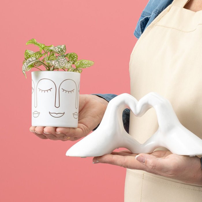 Giftset | Love | Hypoestes plant met hart accessoire