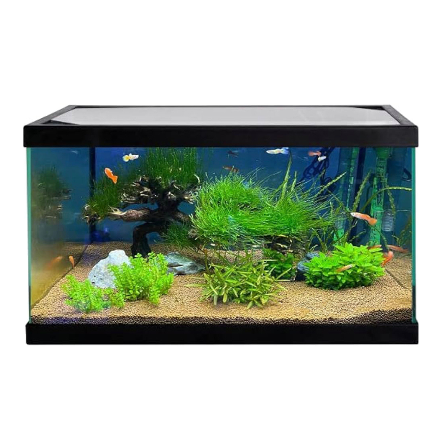 Aquário de vidro flutuante compacto básico Akkua para peixes