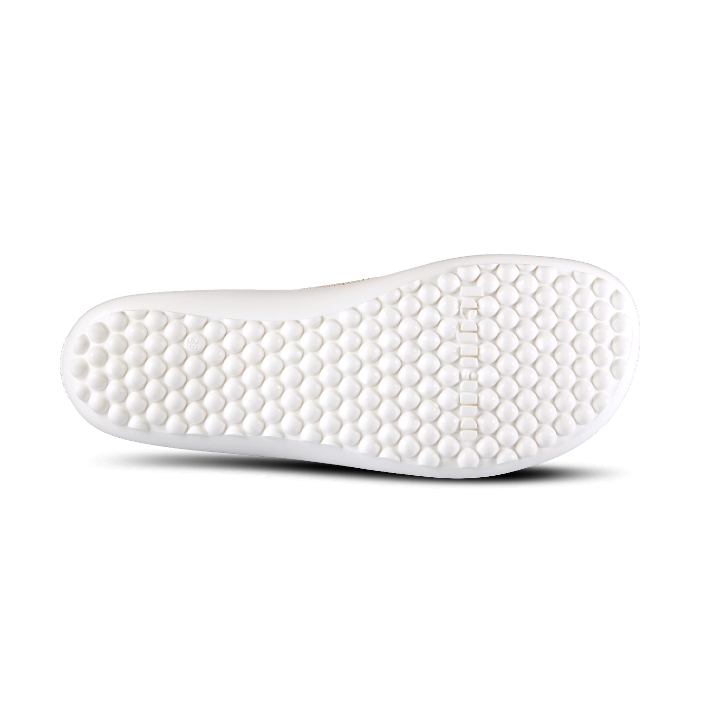 scio rose