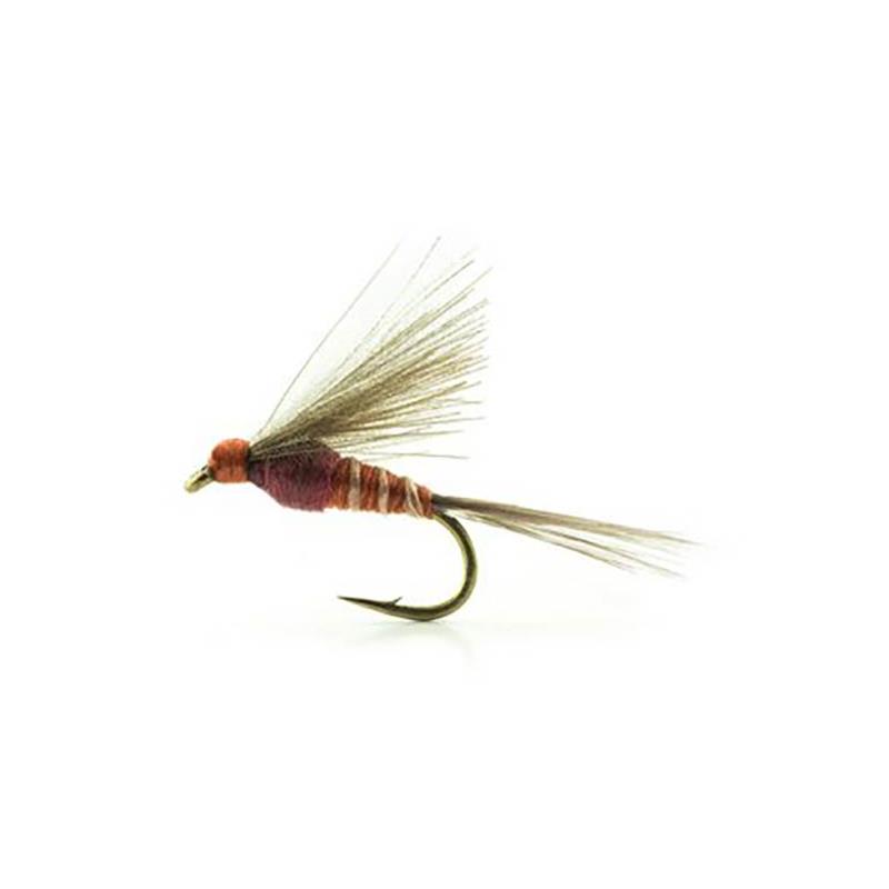 Mouche Devaux Emergente Jbe02
