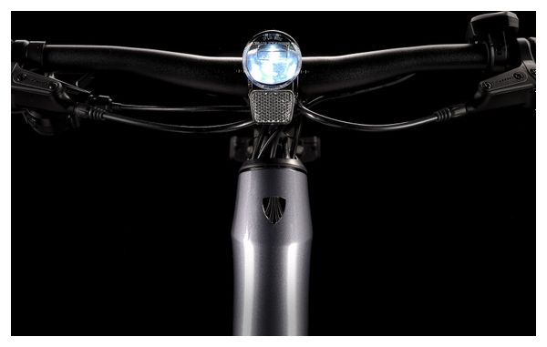 Vélo de Fitness Électrique Trek Dual Sport  2 Stagger Shimano Altus 9V 250 Wh 650 mm Gris