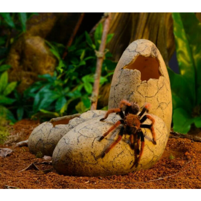 Décoration œufs de dinosaure pour terrarium Exo Terra