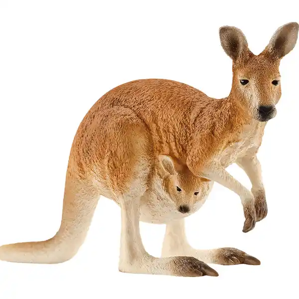 14756 Wild Life, Känguru