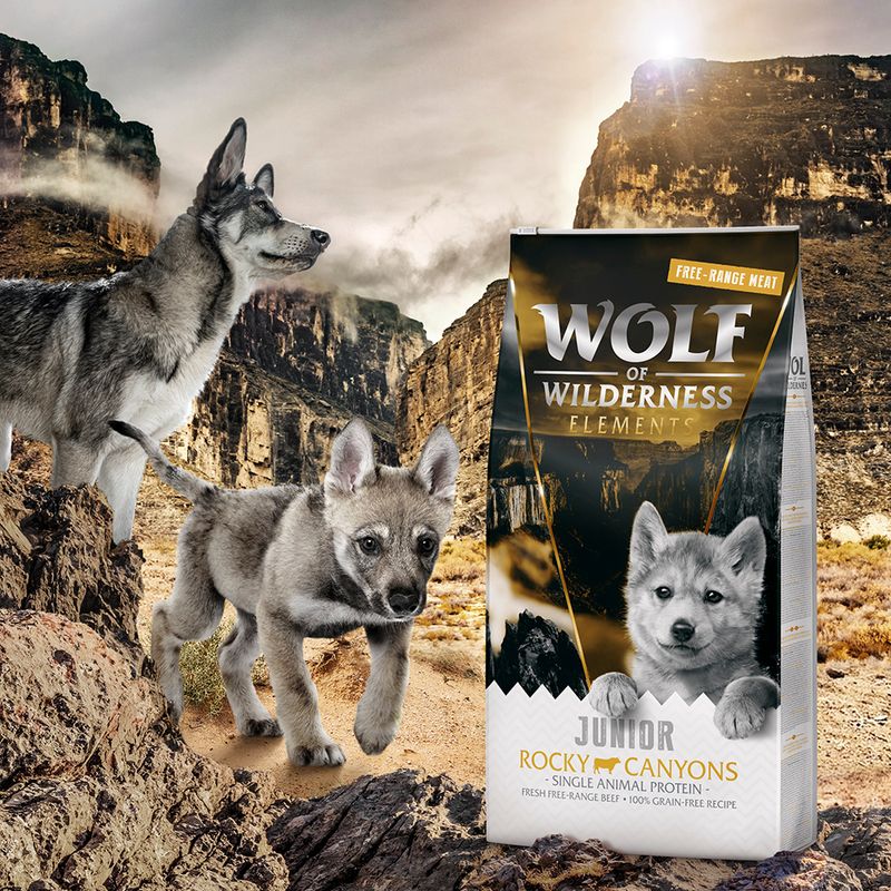 Wolf of Wilderness JUNIOR Rocky Canyons bœuf élevé en liberté sans céréales