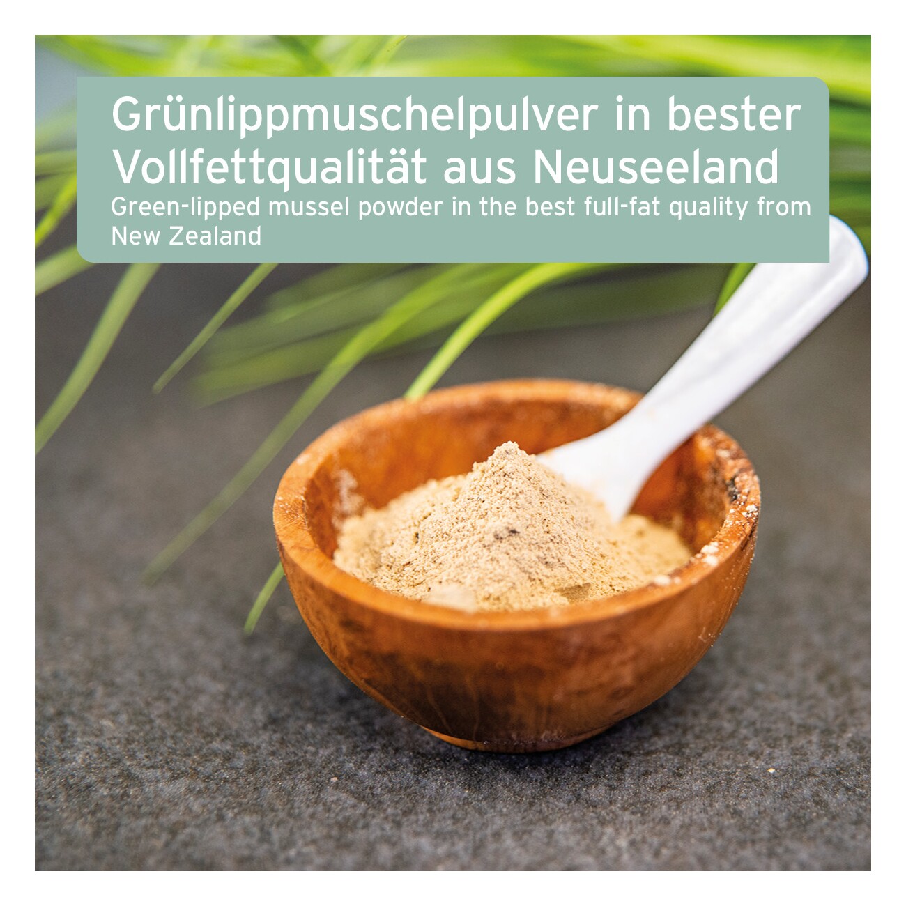 AniForte Grünlippmuschelpulver 1 kg