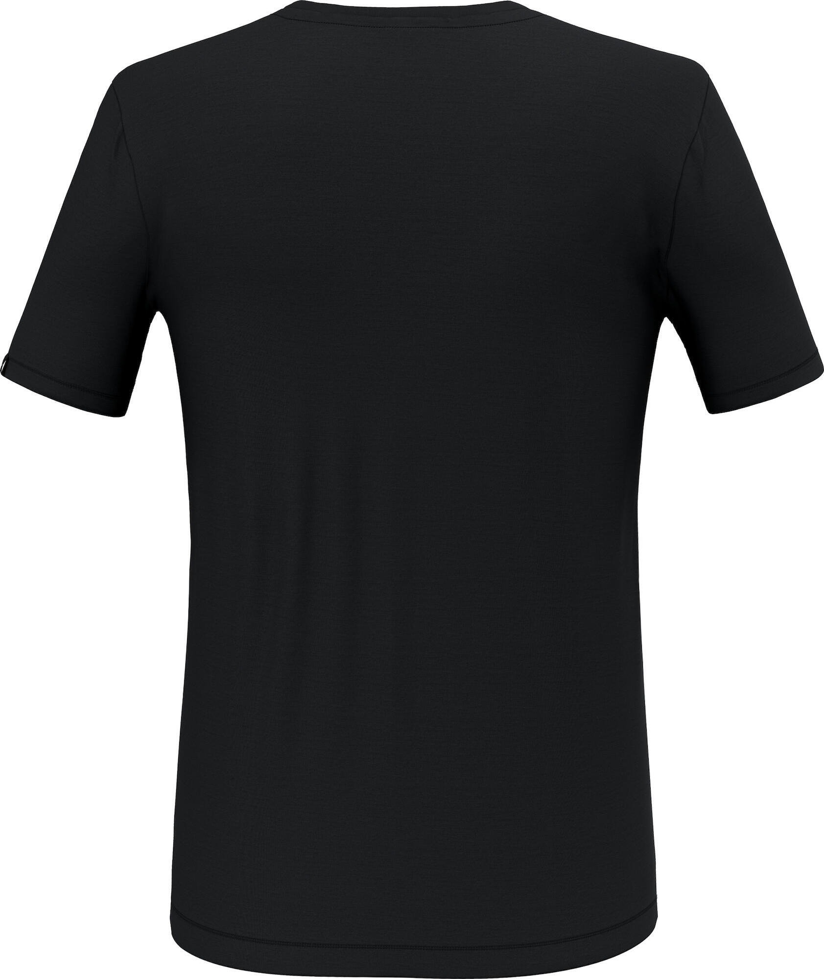 Salewa Fanes Secret Poem AM T-shirt W's