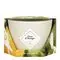My Jolie Candle - Les Généreuses - Bougie Parfumée Fleur D'Oranger- Bougie