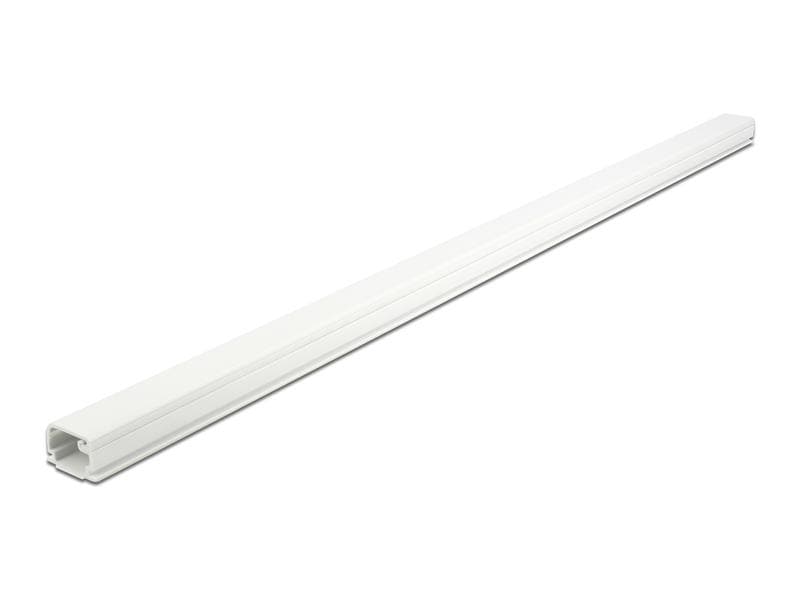 Delock Kabelkanal selbstklebend 1 m x 22 mm Weiss Delock Kabelkanal mit Deckel selbstklebend 22 x 15 mm – Länge 1 m weiss