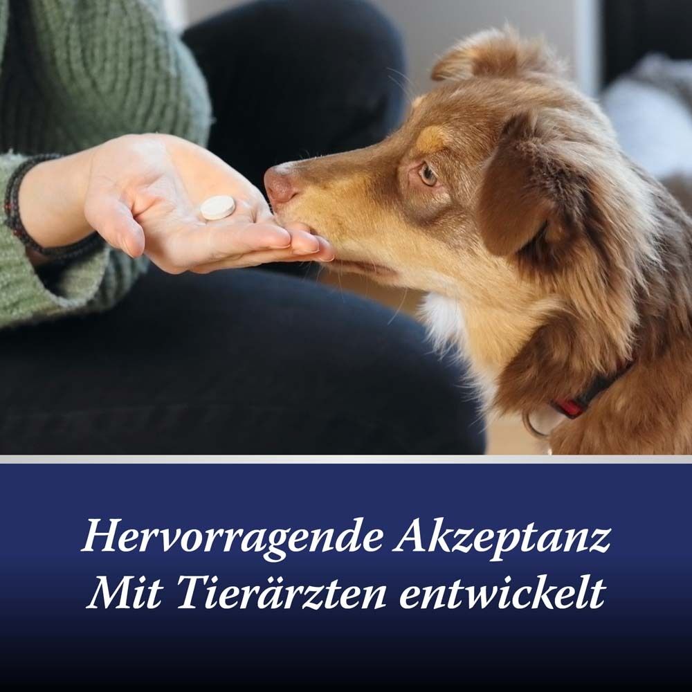 Canosept® Gelenk-Tabletten