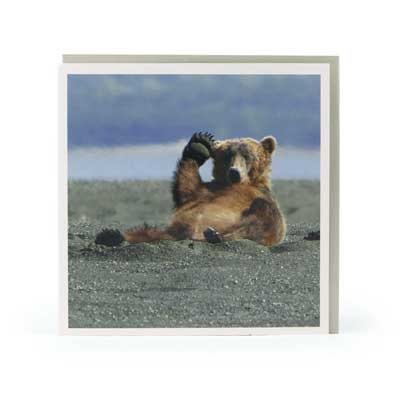 Hellooo Bear Card