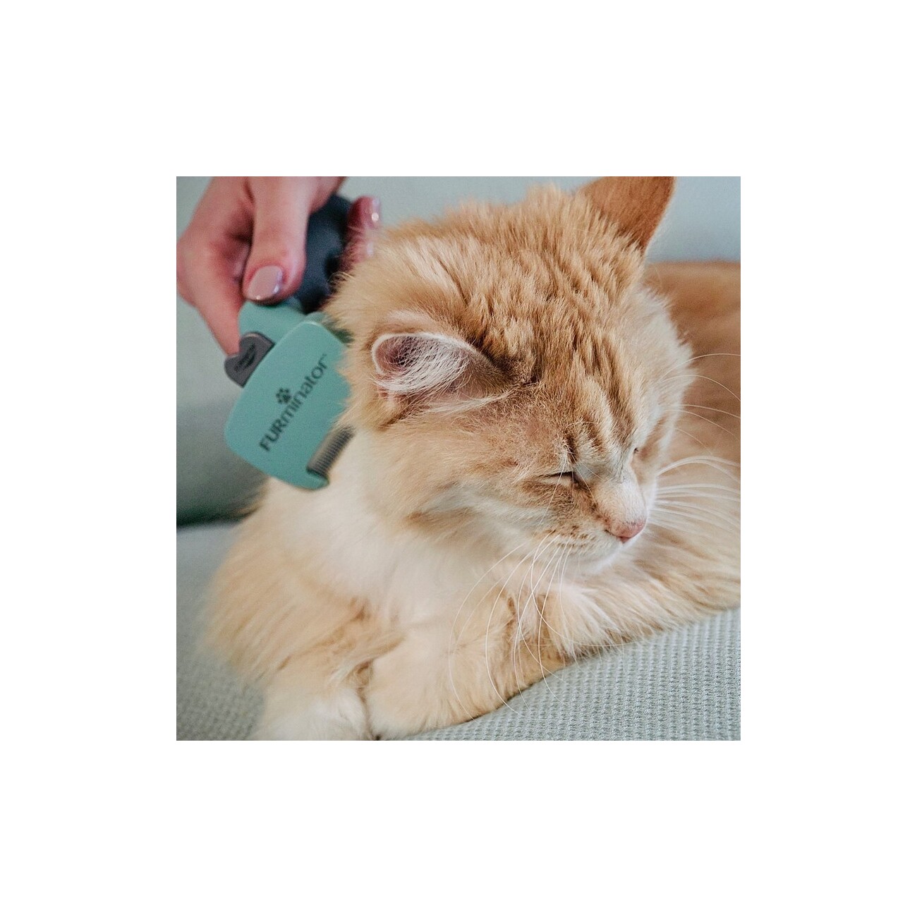 FURminator Katze S Langhaar
